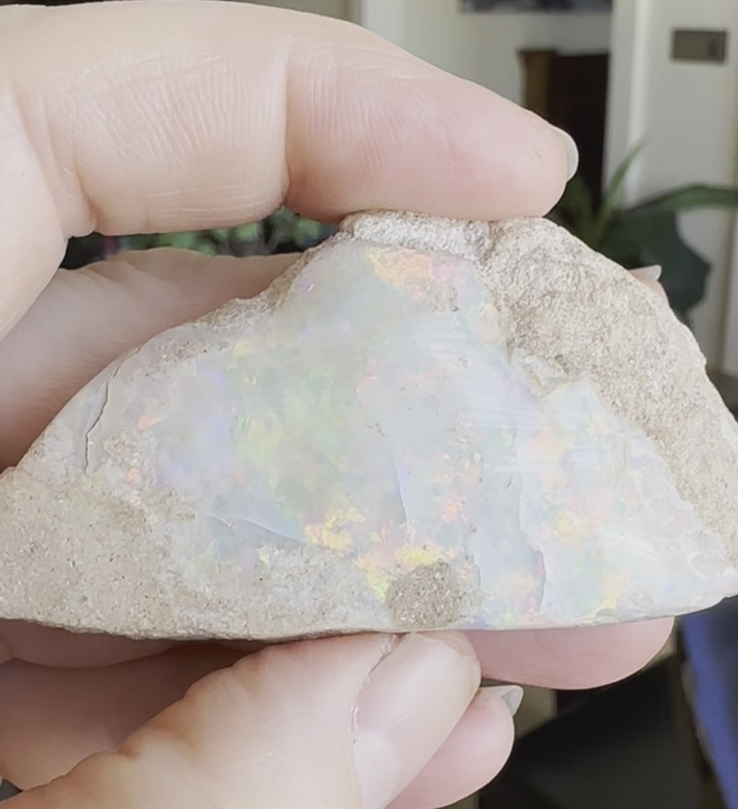 Brilliant rough opal specimen from Mintabie