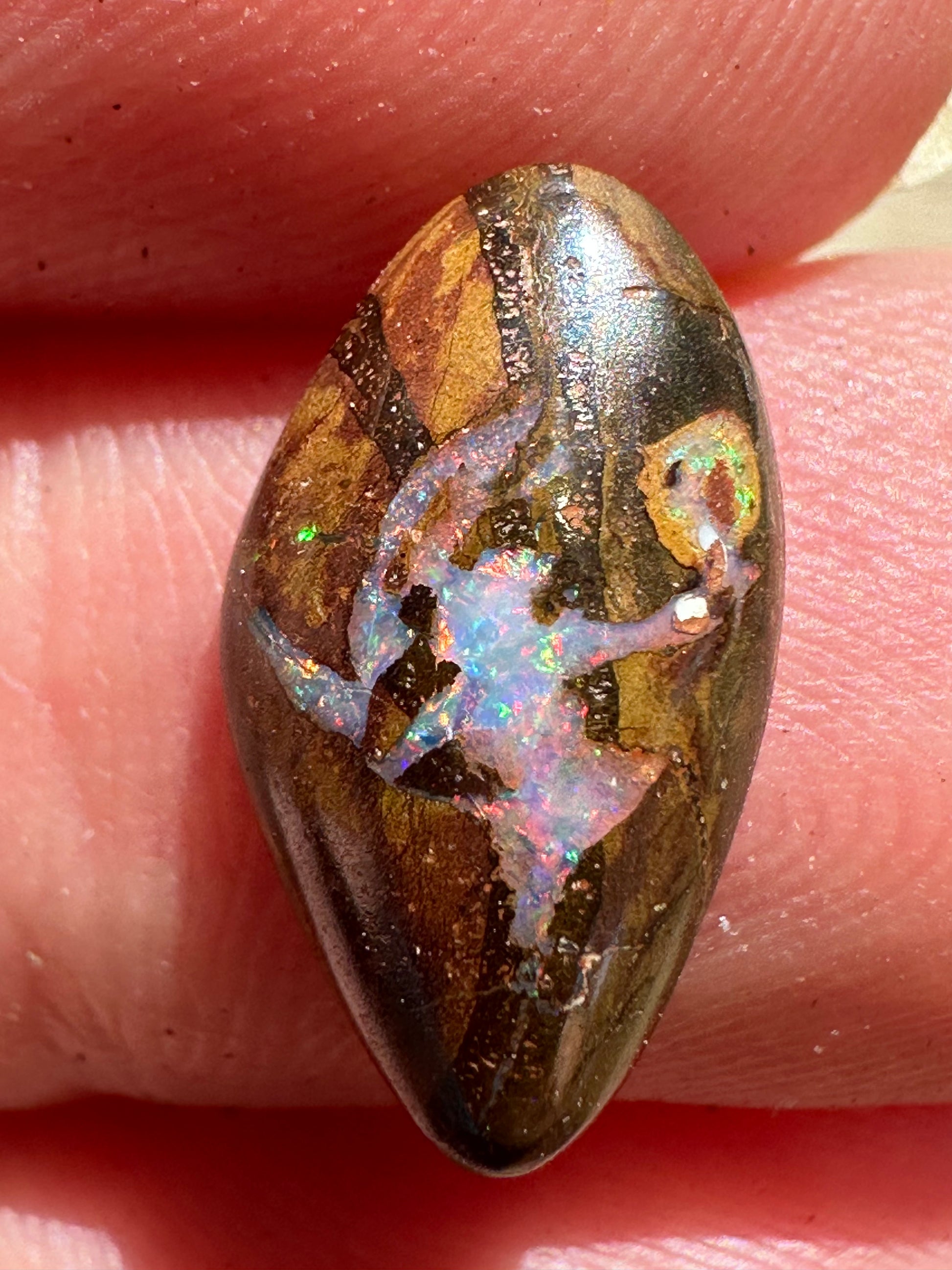 Boulder Opal #606 - Opal Essence Wholesalers 
