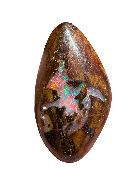 Boulder Opal #606 - Opal Essence Wholesalers 