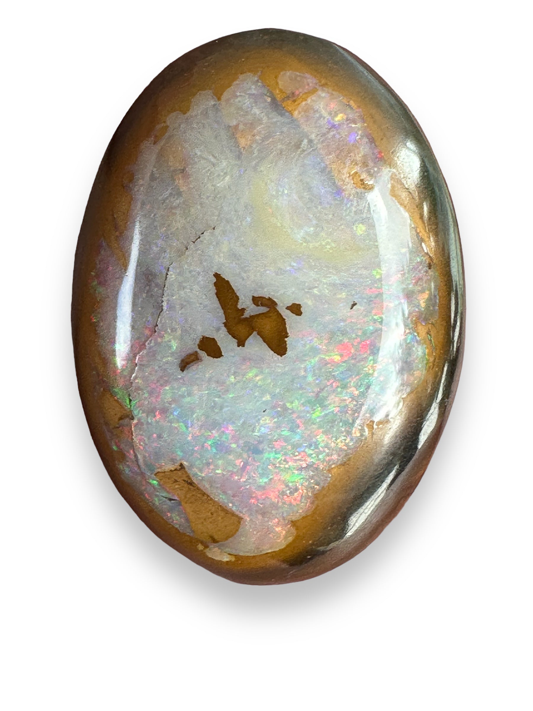 Queensland Boulder Opal Yawah Nut - Opal Essence Wholesalers 