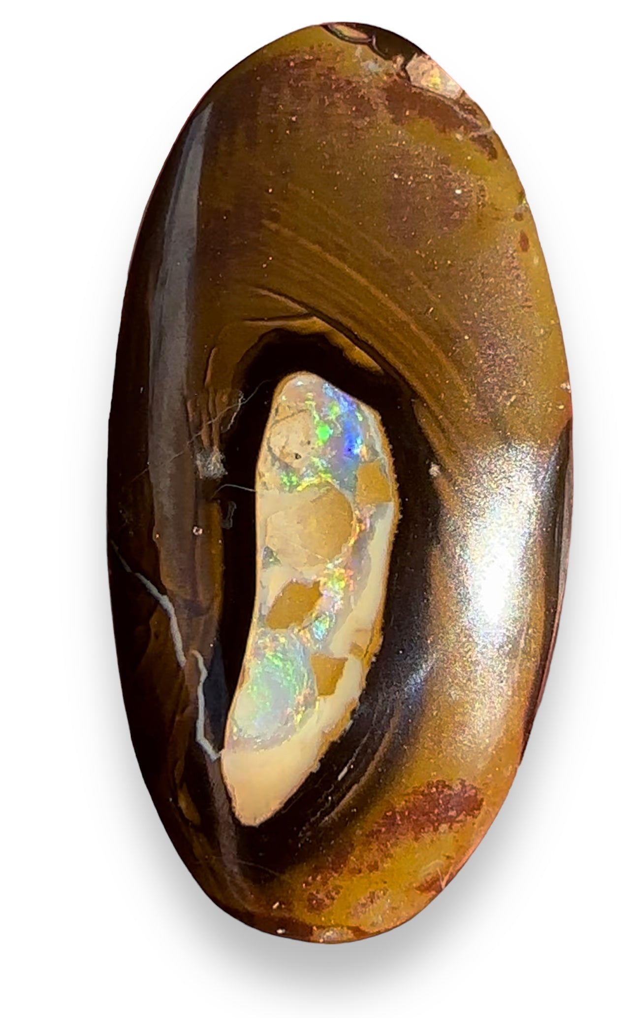 Queensland Boulder Opal Yowah Nut - Opal Essence Wholesalers 
