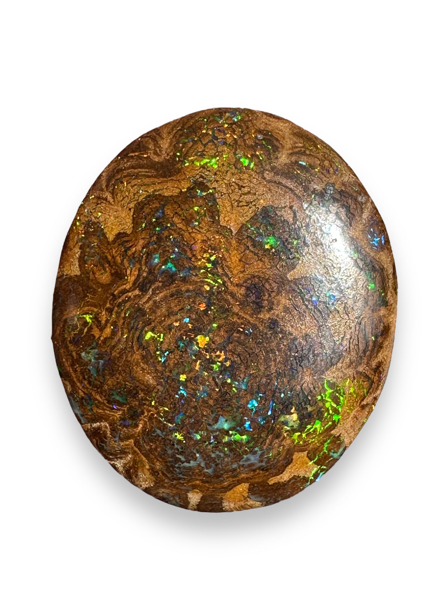 Australian Boulder Opal - Opal Essence Wholesalers 