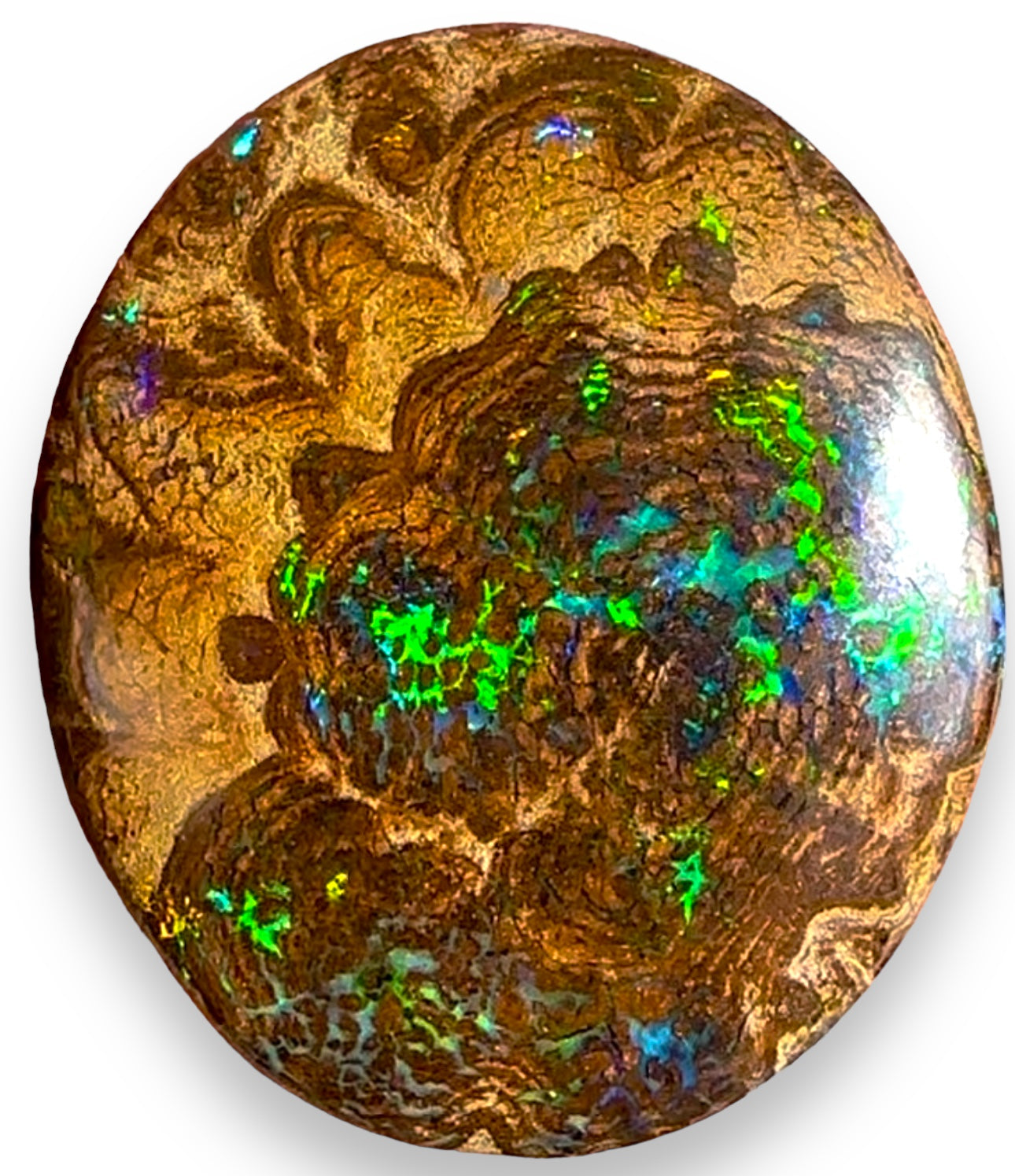 Australian Boulder Opal - Opal Essence Wholesalers 