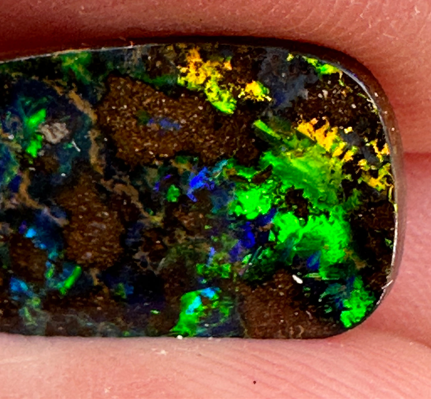 Queensland Boulder Opal #600 - Opal Essence Wholesalers 