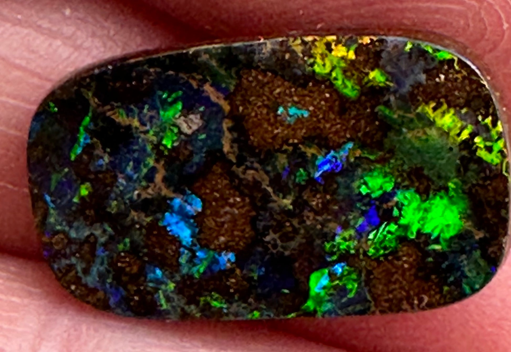 Queensland Boulder Opal #600 - Opal Essence Wholesalers 