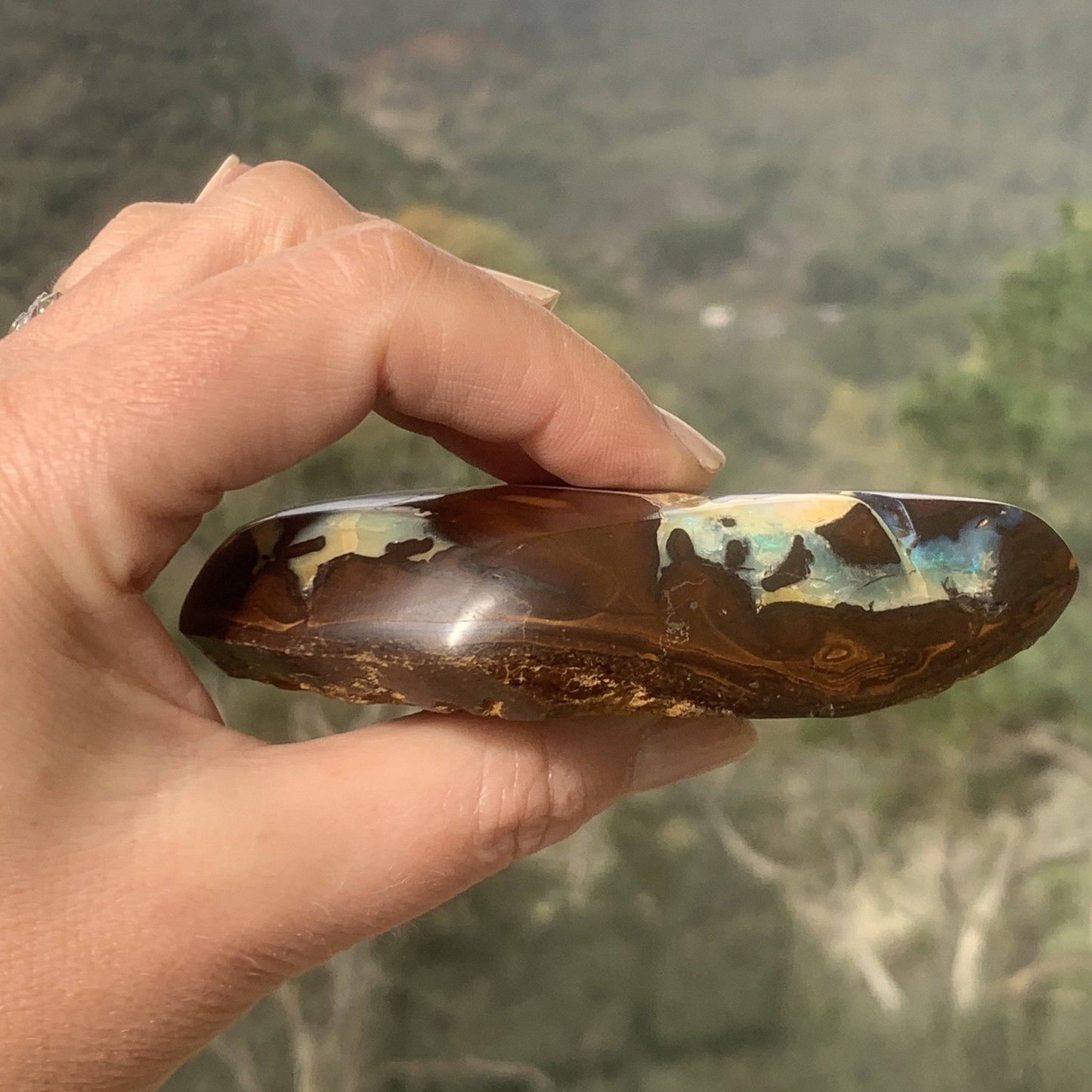 Queensland Boulder Opal specimen - Opal Essence Wholesalers 